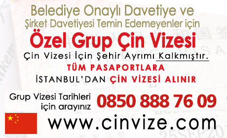 Cin Vize